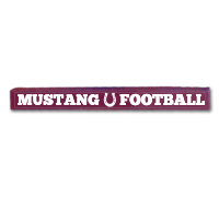 SPIRIT STICK