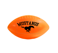 plastic football