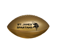 PRINTED FOOTBALL