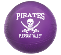 vinyl basketball